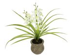 Kunstblume I.Ge.A. "Kunstblume Schmetterling Orchidee Mit Keramiktopf", Weiß, B:39Cm H:38Cm L:11Cm, Polyester, Kunstpflanzen, Mit BläTter Luftwurzeln Blume Kunstorchidee Phalaenopsis Kunstpflanze