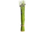 Kunstgras BOTANIC-HAUS "Grasarrangement", Lila, B:9Cm H:69Cm T:9Cm Ø:9Cm, Kunststoff, Kunstpflanzen