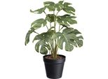 KüNstliche Zimmerpflanze Creativ green "Splitphilodendron", GrüN, H:38Cm, Kunstpflanzen, KüNstliche Zimmerpflanze, Mit SchöNen BläTtern