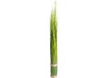 Kunstgras BOTANIC-HAUS "Grasarrangement Selbststehend", GrüN, B:7Cm H:60Cm T:7Cm Ø:7Cm, Kunststoff, Kunstpflanzen