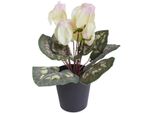 Kunstblume BOTANIC-HAUS "Alpenveilchen", Pink (Creme, Pink), B:20Cm H:24Cm T:20Cm Ø:20Cm, Kunststoff, Kunstpflanzen