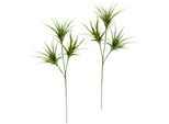 Kunstpflanze I.Ge.A. "Tillandsia", GrüN, B:23Cm H:63Cm, Kunststoff, Kunstpflanzen, Kunstpflanze, 2Er Set