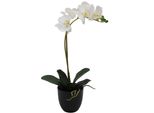 Kunstorchidee Creativ green "Orchidee Phalaenopsis", Weiß, H:45Cm, Kunststoff, Kunstpflanzen, Mit TäUschend Echten BlüTen
