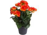 Kunstblume BOTANIC-HAUS "Begonienbusch Mit 7 Stielen", Orange, B:18Cm H:26Cm T:18Cm Ø:18Cm, Kunststoff, Kunstpflanzen