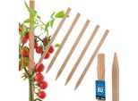 Kotarbau® Set Di 5 Paletti Per Pomodori Paletti Per Piante Da 25 Cm Paletto Di Legno Per Recinzione Paletto Di Legno Affilato Supporto Per Piante Paletto Di Legno Ausilio Per Arrampicata Paletti Per Piante In Legno Per Stabilizzazione Supporti Per Piante