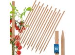 Kotarbau® Set Di 15 Paletti Per Pomodori Paletti Per Piante Da 50 Cm Paletto Di Legno Per Recinzione Paletto Di Legno Affilato Supporto Per Piante Paletto Di Legno Ausilio Per Arrampicata Paletti Per Piante In Legno Per Stabilizzazione Supporti Per Piante