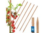 Kotarbau® Set Di 5 Paletti Per Pomodori Paletti Per Piante Da 50 Cm Paletto Di Legno Per Recinzione Paletto Di Legno Affilato Supporto Per Piante Paletto Di Legno Ausilio Per Arrampicata Paletti Per Piante In Legno Per Stabilizzazione Supporti Per Piante