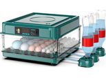 Incubatrice Automatica Per Uova, Capacità 36 Uova, Controllo Automatico Della Temperatura, 36 Uova Spina Ue 220V