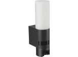 Steinel L620 Cam Ant Luce Per Esterni