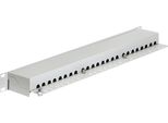Delock - Patch Panel - RJ-45 X 24 - Hellgrau - 1U (43300)