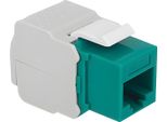 Delock Keystone RJ45 -> Lsa Cat6 Utp Buchse