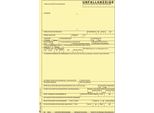 Rnk Verlag 2865 Rapporto Di Infortunio Per Incidente Industriale - Sd, 1 X 5 Fogli, Din A4, + 1 Pagina Di Note