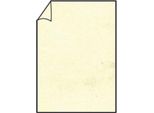 100X Paperado 16400106 Briefbogen A4 100G Chamois Mar