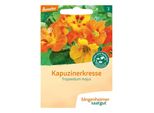 Nasturzio - Tropaeolum Majus