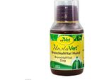 Cdvet Hustavet Bronchialvital 100 Ml