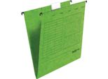 Falken 80002520 Fascicoli Sospesi A 25 Cartelle Unireg Verde