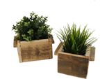 Fioriera In Legno Naturale In Set Da 2 - 14X14 Cm + 18X18 Cm