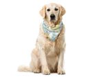 Abakuhaus Bandana Retrò Per Animali Domestici, Ispirazione Line Art Astratta, 40X40 Cm, Azzurro Pallido Verde Chiaro