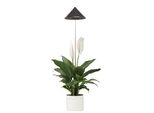 Parus By Venso Sunlite 7W Lampada Per Piante A Led, Grigio