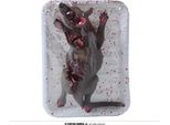 Halloween Rat Shocker Spaventoso Vassoio Decorazione Spaventoso Tavolo Horror Party Prop, Colore: Grigio