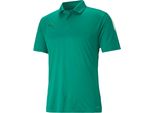 Puma Teamliga Sideline Polo Shirt Uomo Verde Gr Xl