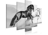 Quadri Su Tela Animali 200X100 Cm Quadro Su Tela Non Tessuta 5 Pezzi Stampa D'arte Moderna Arte Murale Xxl Decorazione Murale Design Quadro Da Parete - Cavalli Da Corsa Nella Steppa Cavallo Da Corsa Grigio G-B-0218-B-M