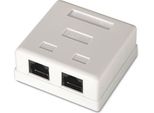 Aisens Rosa Per Montaggio A Superficie A139-0302/ Cat.6/ 2 Prese