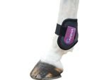 Arma - Stivali Fetlock ER252 (Cob/Full) (Nero/Plum)