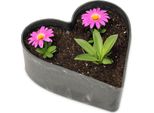 Fioriera A Cuore Per Esterni Ciotola Decorativa Marmorizzata Nera 26 Cm