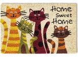 Stuoia In Cocco Cats Sweet Home 40X60 Cm Come Stuoia Per La Pulizia Degli Esterni