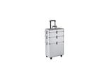 Valigia Trolley Efalock Silver Assist