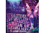 Little Steven E I Discepoli Del Soul: Summer Of Sorcery L