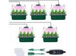 Propagatore Per Serre Indoor Con Lampada Per Piante A Spettro Completo 5 Pezzi Mini Set Di Propagazione Per Serre Vassoi Di Partenza Per Piantine