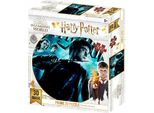 Puzzle 3D Harry Potter (500 Pezzi)