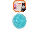 Zolux Giocattolo Tpr Pop Ball Con Punte 13Cm Turchese [479071TUR]