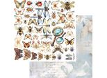 Alchimia Dell'arte 30X30Cm Carta Bifacciale Per Scrapbooking 250G, Farfalle, Libellule