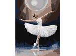 Pittura Da Numeri Con Telaio Quadri Da Dipingere - Cigno Bianco 40X50 Cm