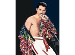 Quadro Con Cornice - Freddie Mercury 40X50 Cm