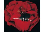 The Smashing Pumpkins - Adore (2 Lp)