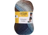 Regia Virtuoso Colore Paesaggio Nordico Filato Per Maglieria