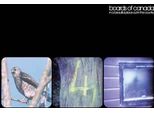 Boards Of Canada - In A Beautiful Place Out In The Country (Singolo 12")"