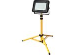 Jiubiaz Led Proiettore Da Costruzione Proiettore Da Lavoro Proiettore Con Treppiede 30W Bianco Freddo