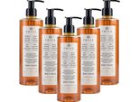 Sapone Liquido Prija Con Ginseng 380Ml - 100% Vegano, Uso Quotidiano, Set Di 5 - Vitalizzante, Amico Della Pelle,