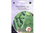 Striscia Di Semina Cetriolo Aloe, Aneto Oliver 2X2M