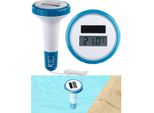 Termometro Solare Per Acqua Infactory
