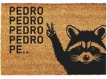 Zerbino Cocco Pedro Raccoon - Zerbino Regalo Per La Porta D'ingresso - Zerbino Di Benvenuto - Zerbino Divertente - Dimensioni: 60X40 Cm