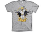 Batman Zamm! Maglietta - Piccola - Grigio-Erba