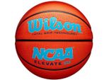Pallacanestro Wilson, Taglia 7