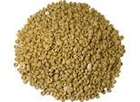 Lego® 1X1 Piastre Rotonde Beige Chiaro - 4073 Nuovo! Quantità 100X