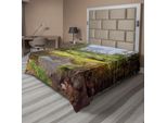 Abakuhaus Yosemite Lenzuolo, Piccola Foresta Primaverile Distant Mountain Immagine Del Parco Nazionale Di Yosemite Stampa, Morbido E Confortevole Lenzuolo Superiore Per Un Letto Decorativo 1 Pezzo 260 Cm X 228 Cm, Verde